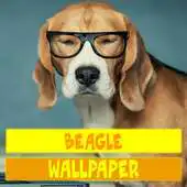Free play online Beagle Dog Wallpaper APK Free play online Beagle Dog Wallpaper APK