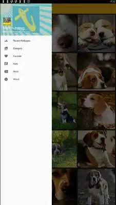 Play Beagle Dog Wallpaper