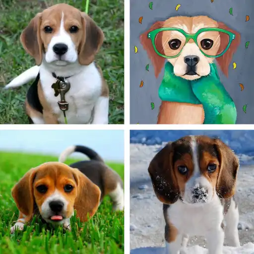 Play Beagle HD Wallpapers APK