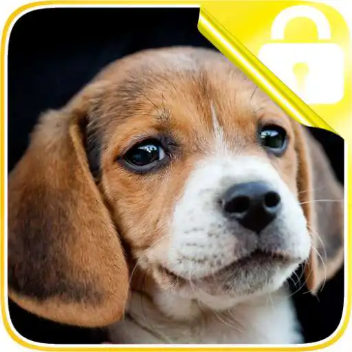 Play Beagle Lock Screen APK