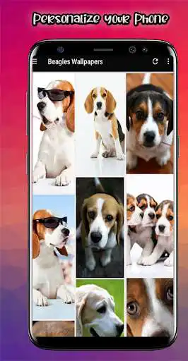 Play Beagle Wallpaper: Beagle Dog  and enjoy Beagle Wallpaper: Beagle Dog with UptoPlay
