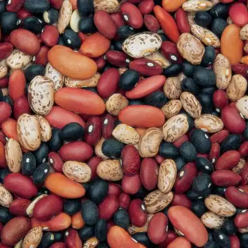 Play Beans Wallpaper APK