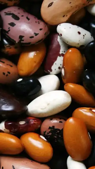 Play Beans Wallpaper  and enjoy Beans Wallpaper with UptoPlay