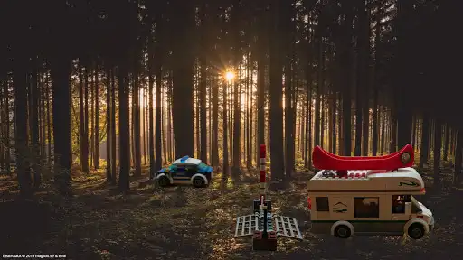 Play Bear Attack