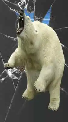 Play Bear Attack