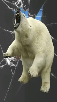 Play Bear Attack