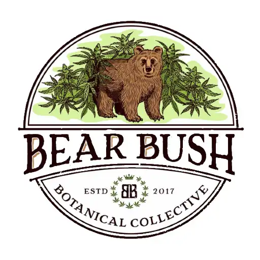 Play BEAR BUSH APK
