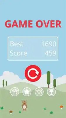 Play Bear Climb