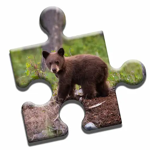 Play Bear Love Puzzle APK Play Bear Love Puzzle APK