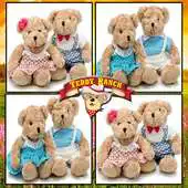 Free play online Bear Matching APK