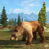 Free play online Bear Simulator 3D APK