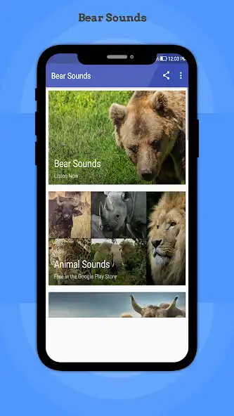 Play Bear Sounds  and enjoy Bear Sounds with UptoPlay