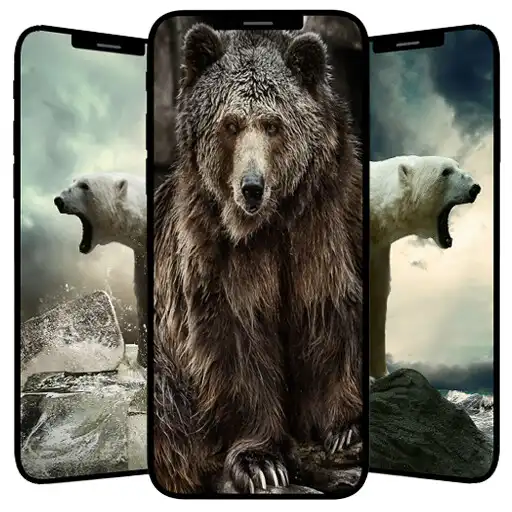 Play Bears Wallpapers APK