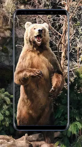 Play Bear Wallpapers  and enjoy Bear Wallpapers with UptoPlay