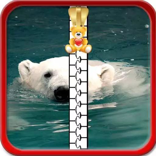 Free play online Bear Zipper Lock Screen APK