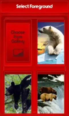 Play Bear Zipper Lock Screen Play Bear Zipper Lock Screen