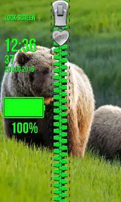 Play Bear Zipper Lock Screen Play Bear Zipper Lock Screen