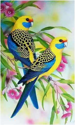 Play Beautiful Animal Wallpapers as an online game Beautiful Animal Wallpapers with UptoPlay