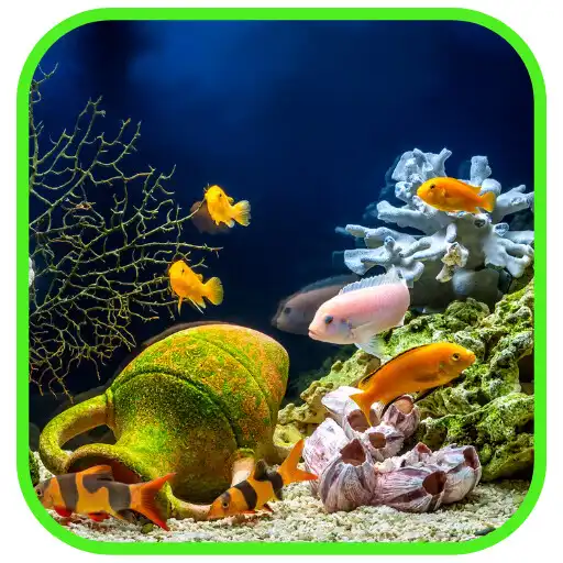 Play Beautiful Aquarium Wallpaper APK Play Beautiful Aquarium Wallpaper APK