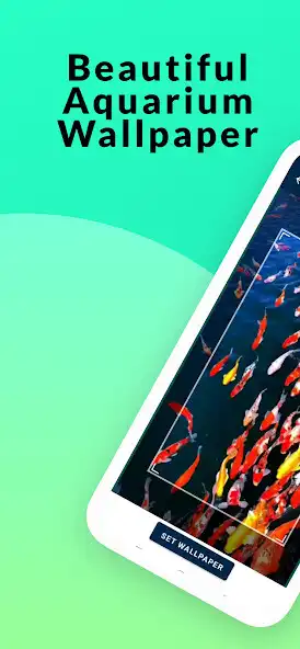 Play Beautiful Aquarium Wallpaper  and enjoy Beautiful Aquarium Wallpaper with UptoPlay