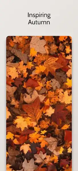 Play Beautiful Autumn Wallpaper HD and enjoy Beautiful Autumn Wallpaper HD with UptoPlay Play Beautiful Autumn Wallpaper HD and enjoy Beautiful Autumn Wallpaper HD with UptoPlay