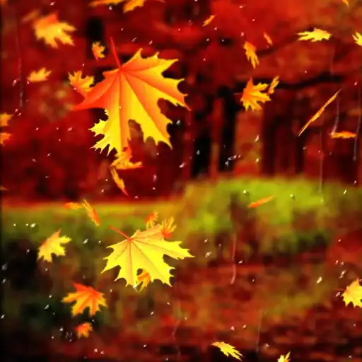 Play Beautiful Autumn Wallpaper Pro APK Play Beautiful Autumn Wallpaper Pro APK