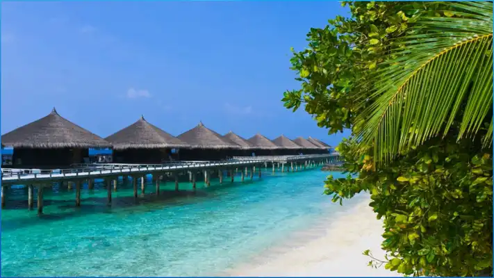 Play Beautiful Beaches Wallpapers