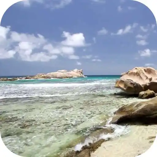 Play Beautiful beach Video LWP APK