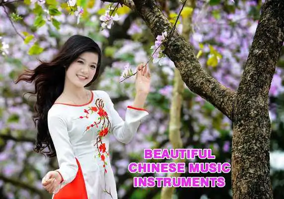 Play Beautiful Chinese Music Instrument