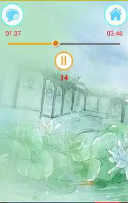 Play Beautiful Dizi Music - Chinese Flute