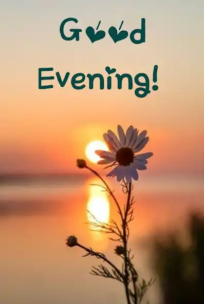 Play Beautiful evening greetings  and enjoy Beautiful evening greetings with UptoPlay