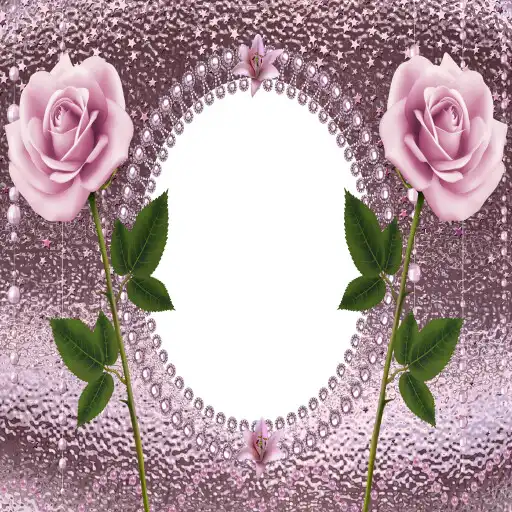 Play Beautiful Flower Frame APK