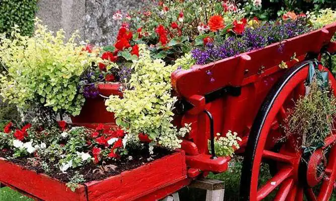 Play Beautiful Flower Garden Escape