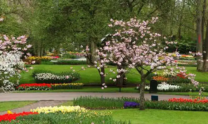 Play Beautiful Flower Garden Escape