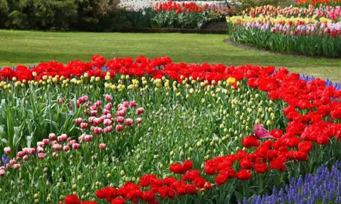 Play Beautiful Flower Garden Escape
