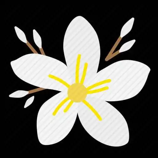 Play Beautiful Flower Iris APK Play Beautiful Flower Iris APK