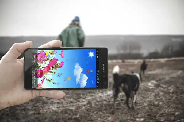 Play Beautiful Flower LiveWallpaper