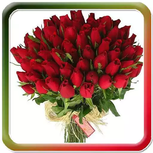 Run free android online Beautiful Flowers Bouquet Glit APK