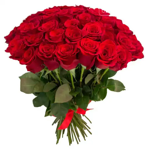 Play beautiful flowers images 2023  and enjoy beautiful flowers images 2023 with UptoPlay