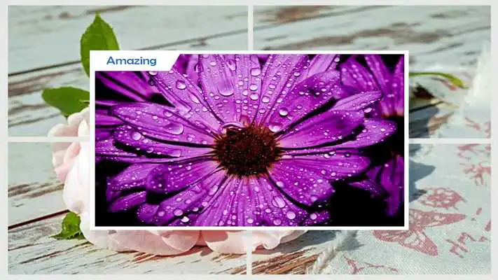 Play Beautiful Flowers