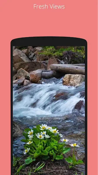 Play Beautiful Flowers Wallapapers  and enjoy Beautiful Flowers Wallapapers with UptoPlay
