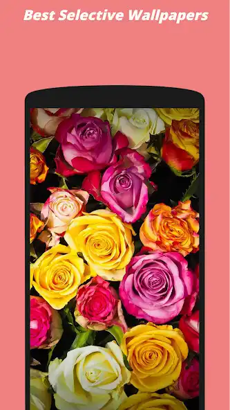 Play Beautiful Flowers Wallapapers as an online game Beautiful Flowers Wallapapers with UptoPlay