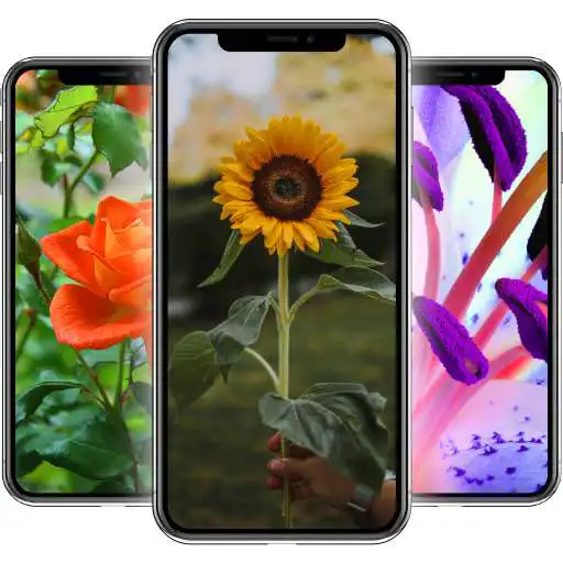 Play Beautiful Flowers Wallpaper HD APK Play Beautiful Flowers Wallpaper HD APK