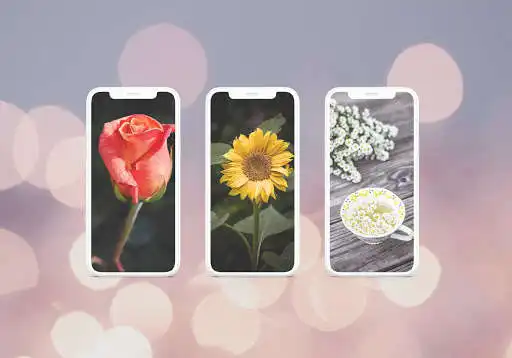 Play Beautiful Flowers Wallpaper HD  and enjoy Beautiful Flowers Wallpaper HD with UptoPlay