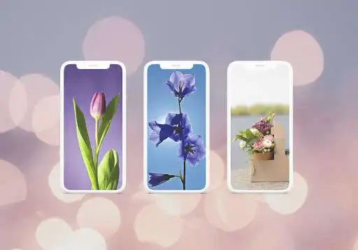 Play Beautiful Flowers Wallpaper HD as an online game Beautiful Flowers Wallpaper HD with UptoPlay
