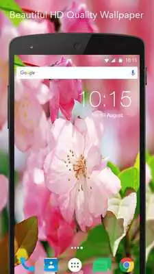 Play Beautiful Flowers Wallpapers