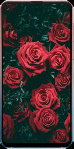Play Beautiful Flower Wallpaper