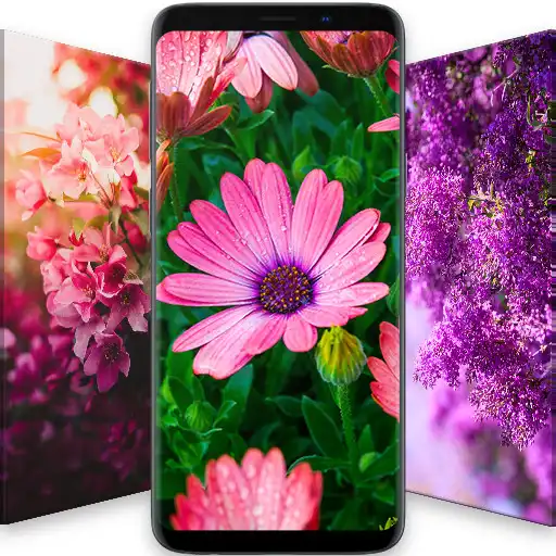 Play Beautiful Flower Wallpapers APK