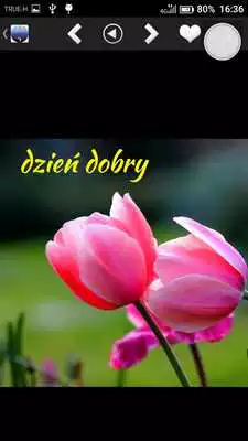 Play Beautiful Good Morning Greetings  Sayings