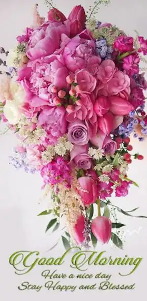 Play beautiful good morning images  and enjoy beautiful good morning images with UptoPlay